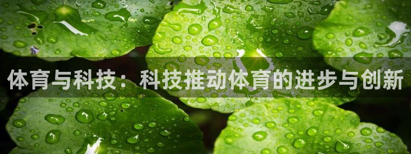 oety欧亿：体育与科技：科技推动体育的进步与创新