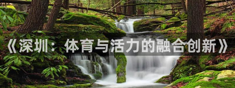 oety欧亿：《深圳：体育与活力的融合创新》