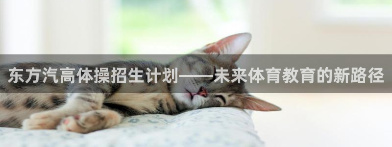 oety欧亿：东方汽高体操招生计划——未来体育教育的新路径