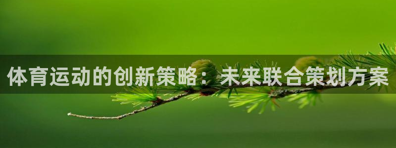oety欧亿：体育运动的创新策略：未来联合策划方案